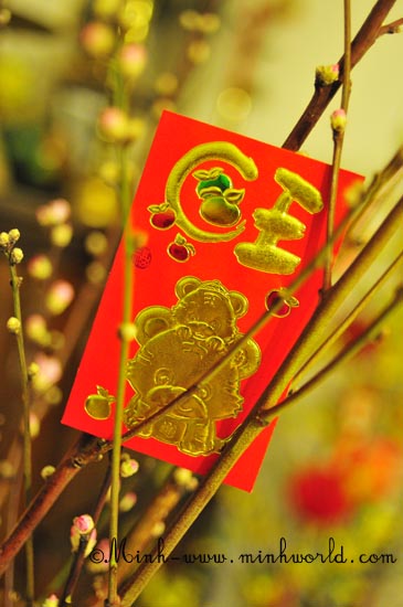Tết -Lunar New Year